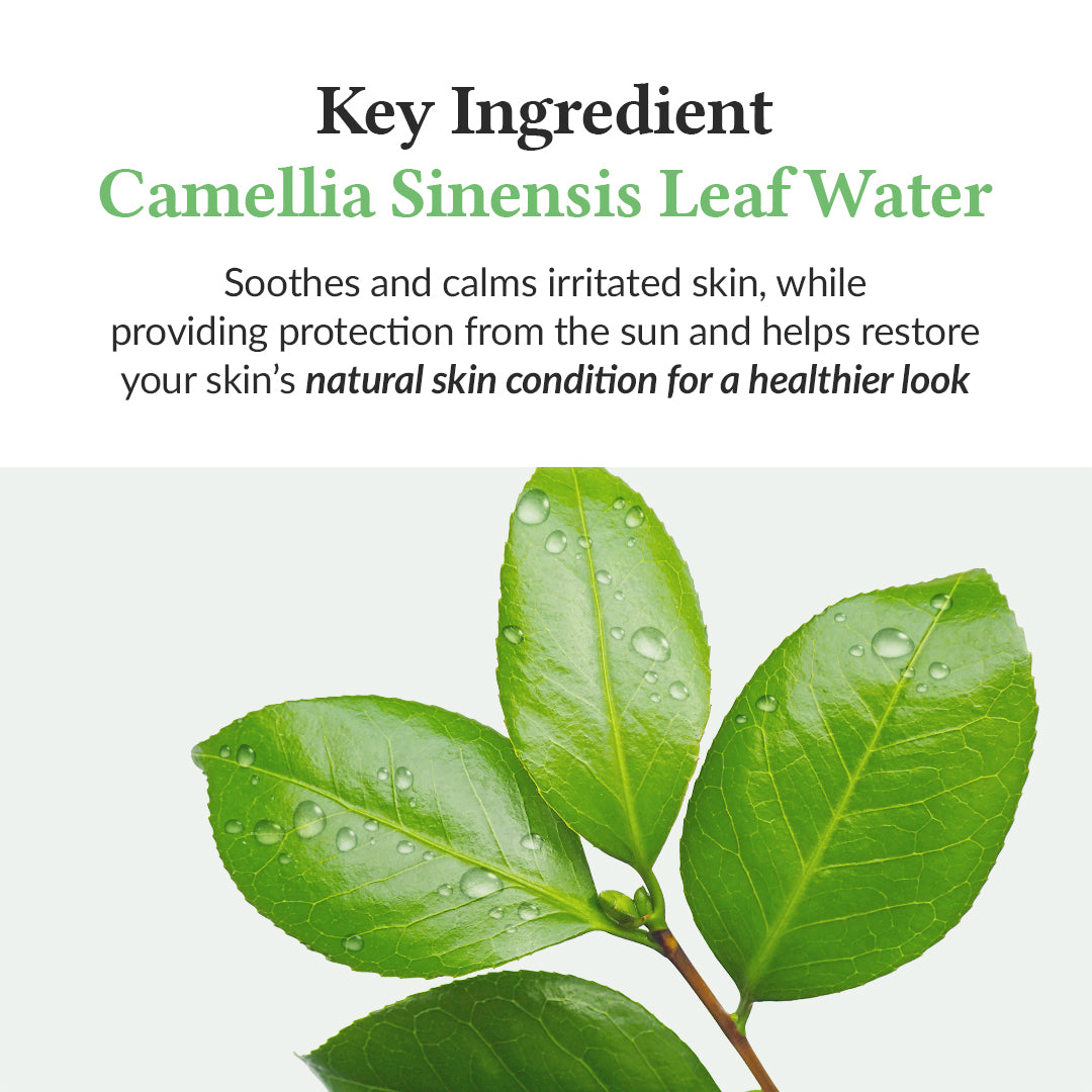 Green Tea Fresh Sunscreen