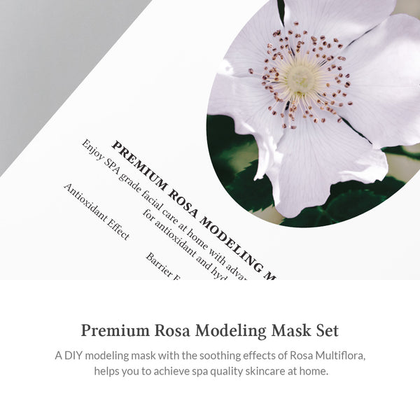 Premium Rosa Modeling Mask Set (5 packs)