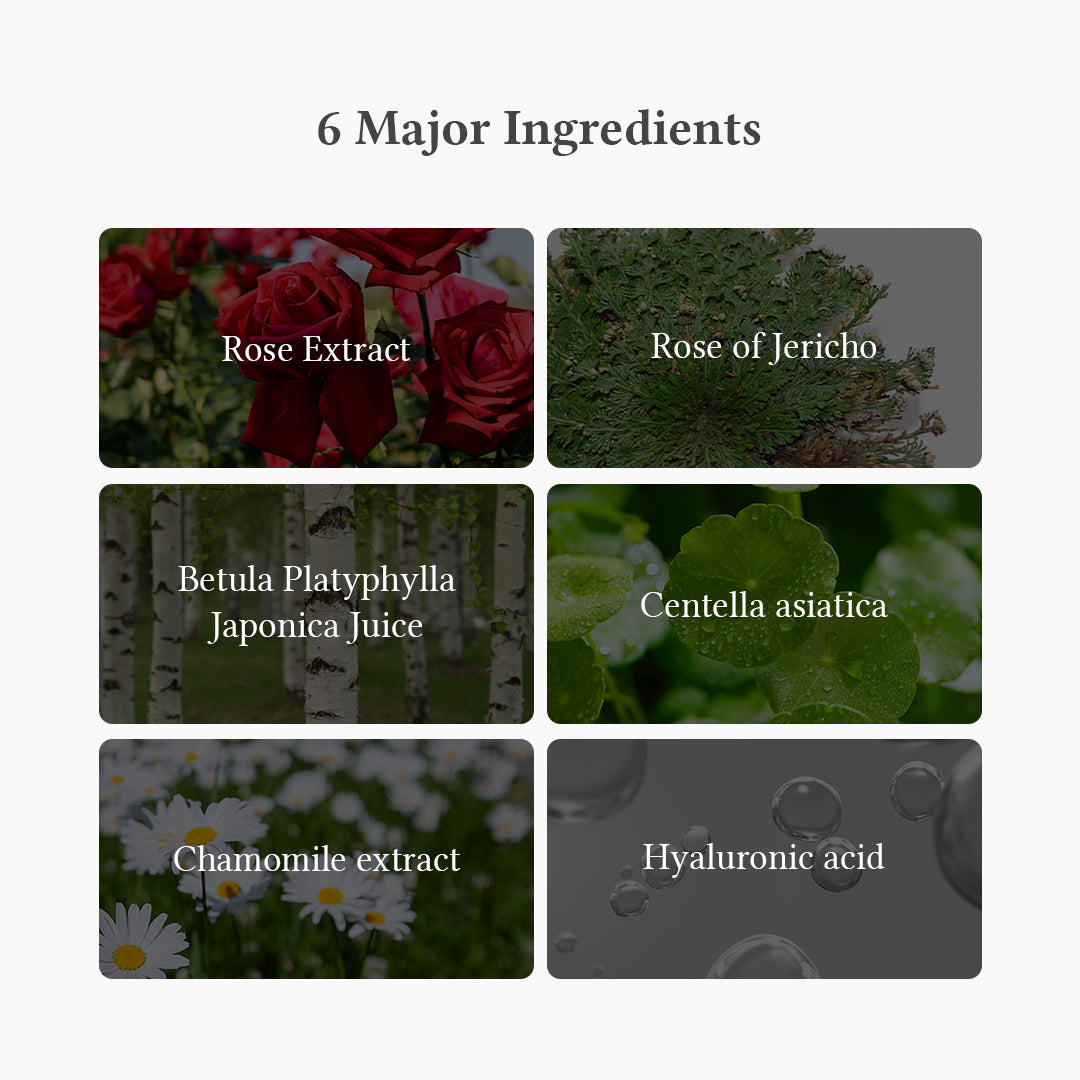 Oasis Soothing Mask (Rose of Jericho)