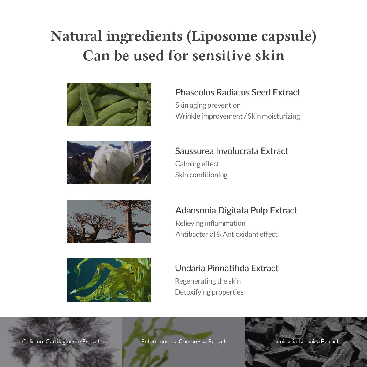 Premium Quick Step Sebum Cleanser