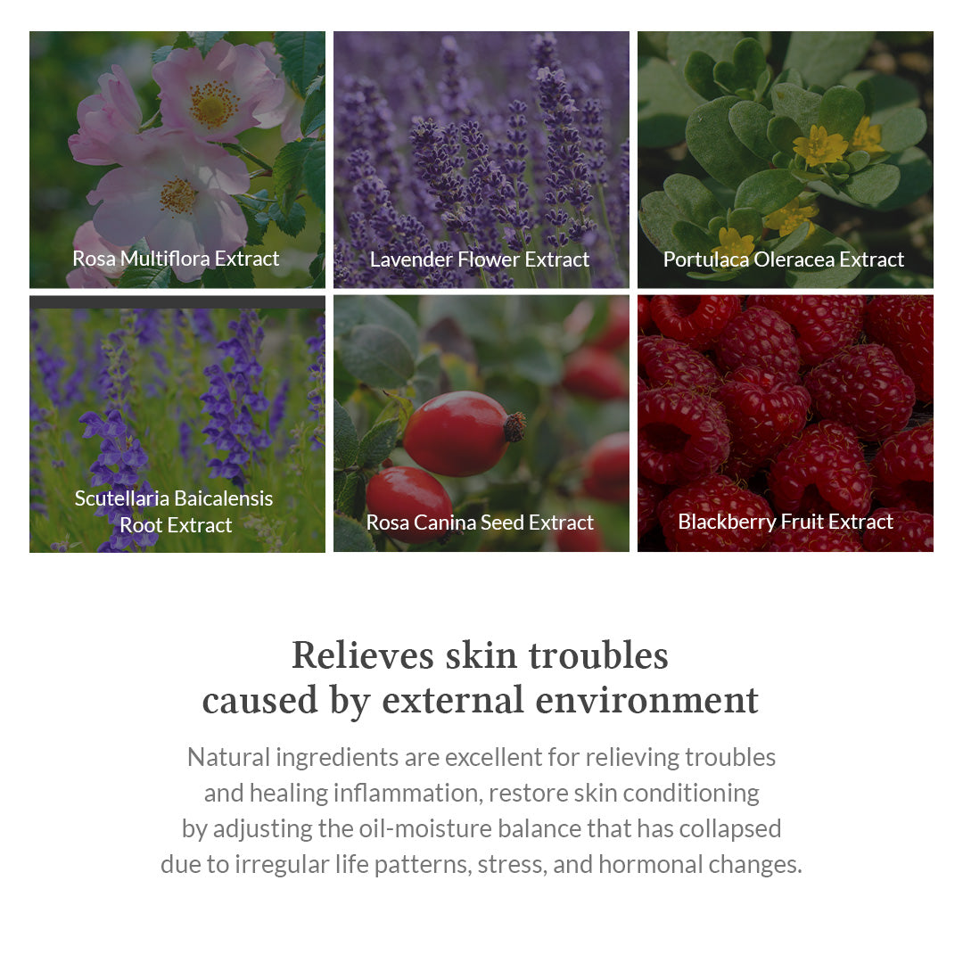 Premium Rosa Modeling Mask Set (5 packs)
