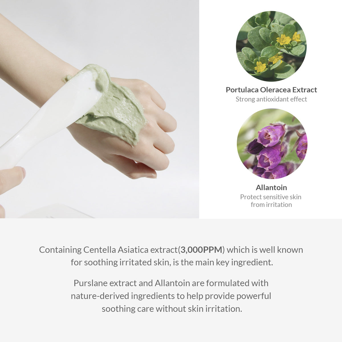 Premium Cica Modeling Mask Set (25g * 5 packs)