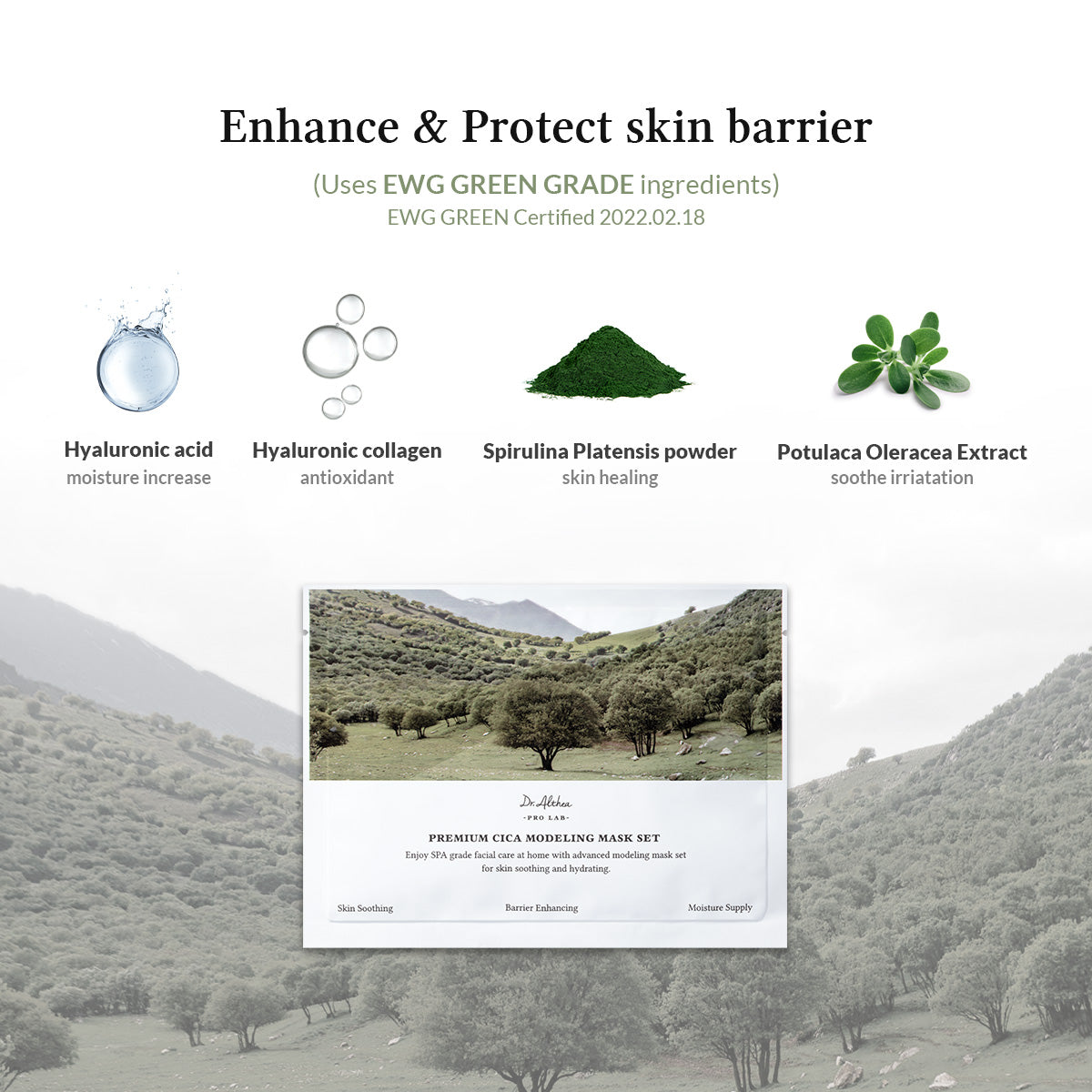 Premium Cica Modeling Mask Set (25g * 5 packs)