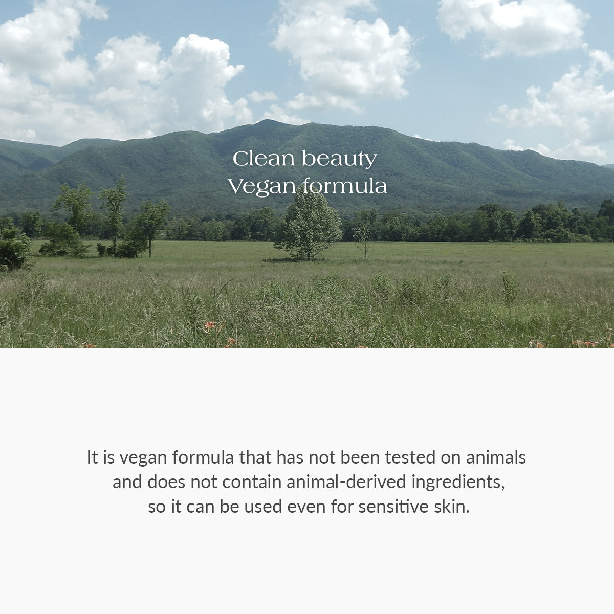 Amino Acid Gentle Bubble Cleanser